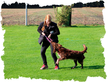 Jung/Begleithunde Übungsleiterin Jackie